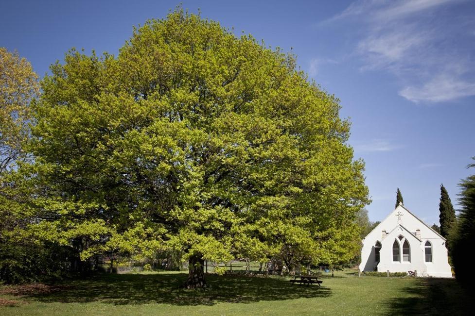 The Holy Oaks Villa Duntroon ภายนอก รูปภาพ